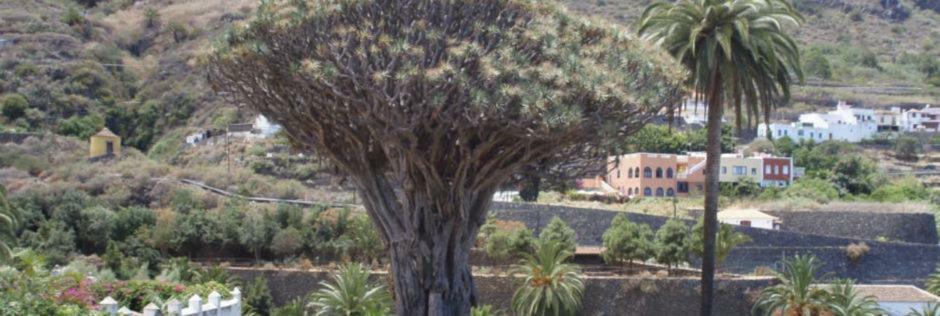 Stunning Views At Tenerife Такоронте Екстер'єр фото