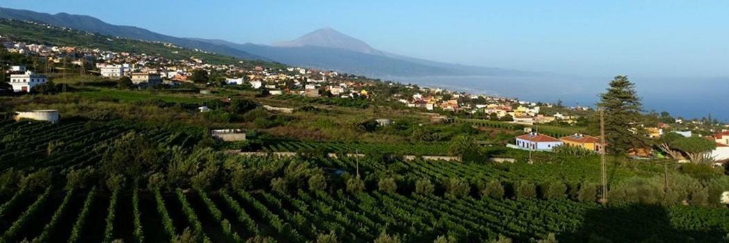 Stunning Views At Tenerife Такоронте Екстер'єр фото